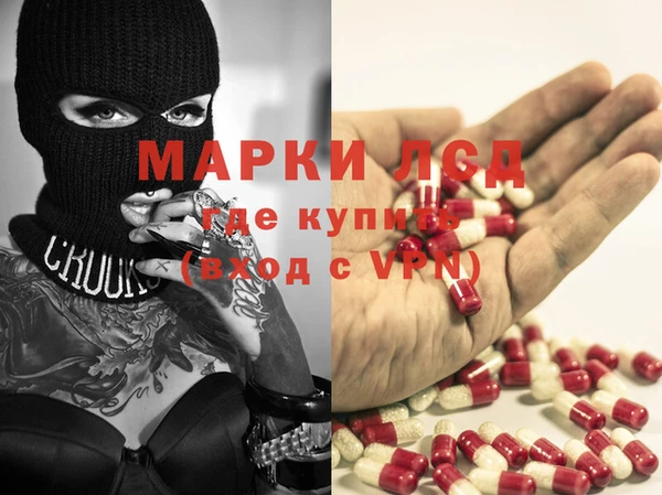 прущие грибы Алексеевка