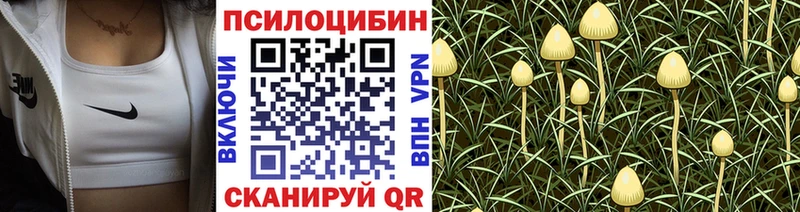 Псилоцибиновые грибы мухоморы  Качканар 